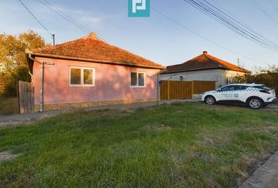 Teren generos și casă în Sânnicolau Mic - 2