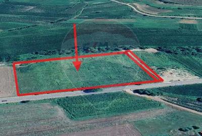 Teren de 17250 mp, în Moșna - 2