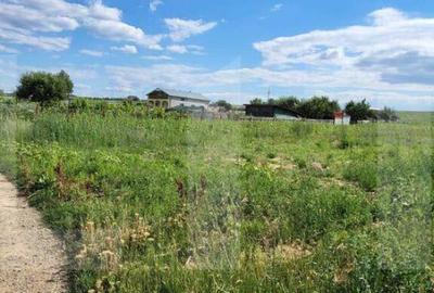 Teren Intravilan Curtesti 7500mp - 2