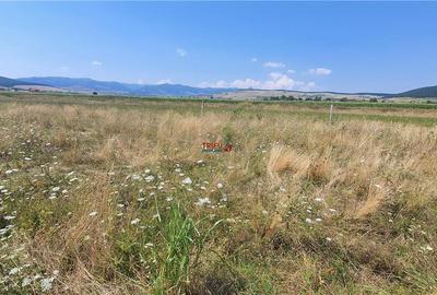 Teren de vanzare in Barabanti, 380 mp, intravilan - 2