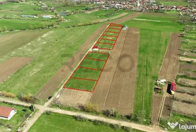 Teren de 600 mp, în Ineu - 4