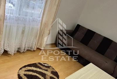 Apartament 1 camera, 32 mp, etaj 1, petfriendly, Sagului - 6