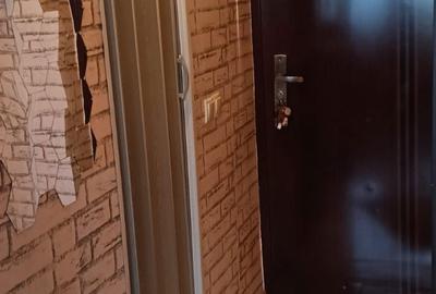 Garsonieră în Sârbi - 2