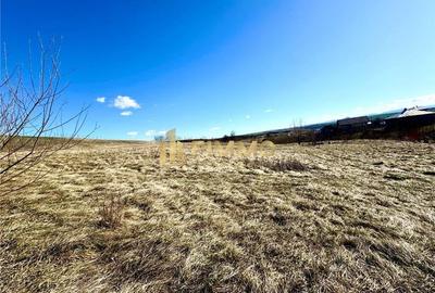 Teren Liteni | 127 ari | acces drum 7m | ID: 1116 - 2