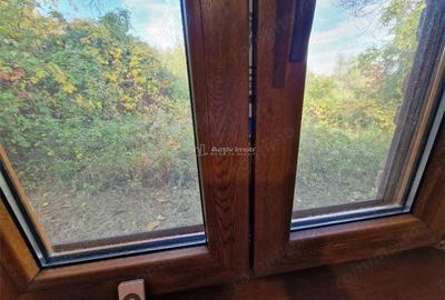 Resita Casa cu Teren privat 4670 Mp. - 8