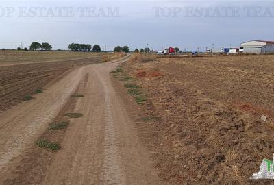 Oferim spre vanzare 6 loturi de teren extravilan (agricol) in Petrachioaia ILFOV Oferim spre vanzare 6 loturi de teren extravilan (agricol) in Petrachioaia ILFOV - 15