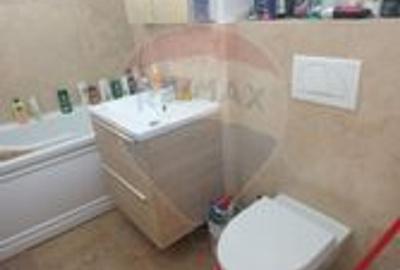 Apartament  4 camere de inchiriat MALUL MURESULUI - 14