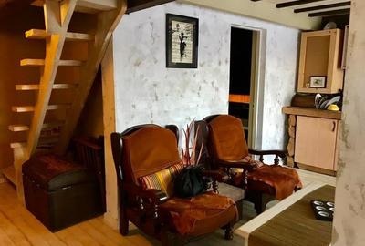 FILM! In Bohemian Style, loc parcare, curte proprie,vedere panoramica, Cartiieru - 9