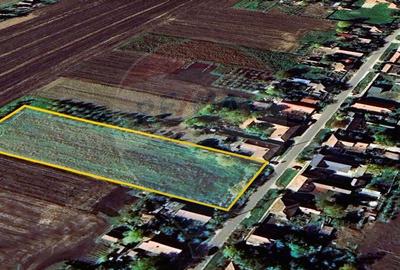 Teren de 5018 mp, în Variașu Mare - 6