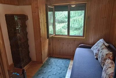 Casă cu 4 camere cu Teren 1600 Mp în Sălard - 2