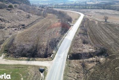 Teren de 2000 mp, în Moșna - 27