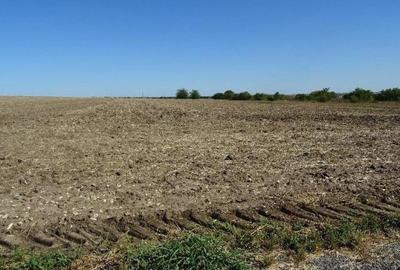 Teren de 5000 mp, în Valu lui Traian - 8