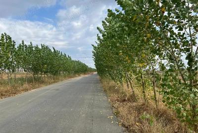Policolor - Gura Solcii, teren 7500 mp- dubla deschidere - 5