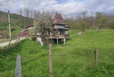 Casă cu Teren 1450 Mp în Izvoru (Valea Lungă) - 5