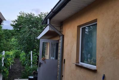 Casă cu 6 camere cu Teren 1100 Mp în Cozia - 4