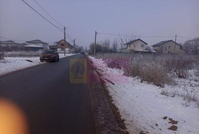 Teren Domnesti 12300 mp de vanzare sau asociere - 6