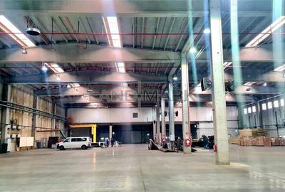 Hala industriala de vanzare Timisoara, trafo propriu 1000 kva - 3