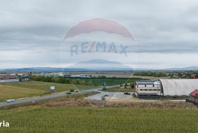 Teren de 440 mp, în Bartolomeu - 11