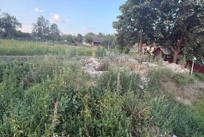 Casă cu 2 camere în Buteni - 4