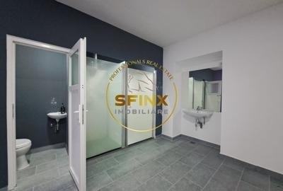 Spațiu comercial, de 236 mp, în Banu Manta - 8