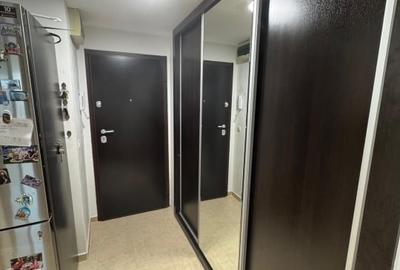 Apartament cu 3 camere decomandat, mobilat în Colentina - 6