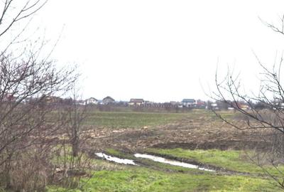 Teren de 2000 mp, în Tărtășești - 6