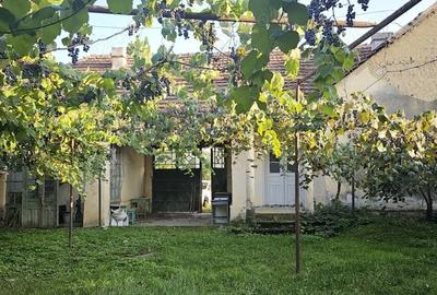 Casă cu 1 camere cu Teren 1500 Mp în Sâmbăta - 3