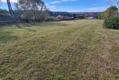 Spațiu comercial, în Toplița - 8