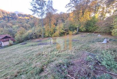 Teren de vanzare 2900 mp Brasov/Strada Ciresului - 22