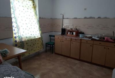 Casă cu 4 camere în Viile Satu Mare - 2