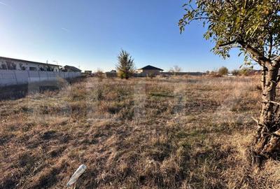 Teren de vanzare, zona Metro-Carcea, 992mp - 12