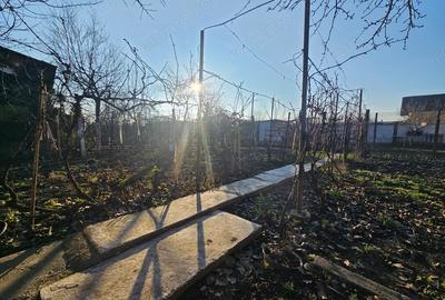 Casă cu 3 camere cu Teren 388 Mp în Dorobanților - 8