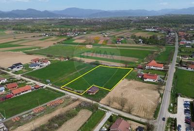 Teren de vanzare in Coltau cumperi 61 ari platesti doar 35! - 4