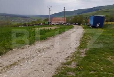 Teren de 3621 mp, în Petrești - 4