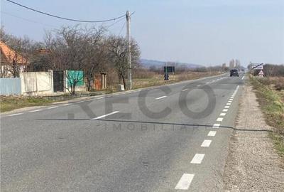RECO Teren intravilan in Uileacul de Cris 3544mp - 1
