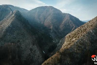 Teren de 17560 mp, în Runc (Ocoliș) - 1