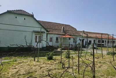 Casă cu Teren 1996 Mp în Giulvăz - 1