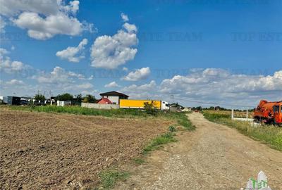 Teren de 2500 mp, în Frumușani