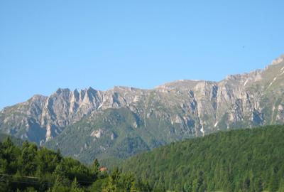 Spațiu comercial, în Forban - 5