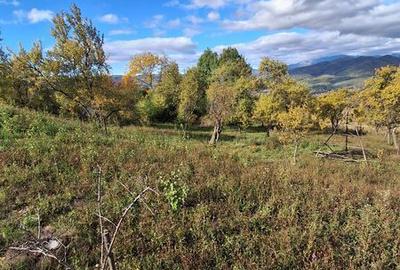 Teren de 6800 mp, în Berislăvești - 3