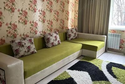 Apartament cu 2 camere de vanzare zona Drumul Taberei - 2