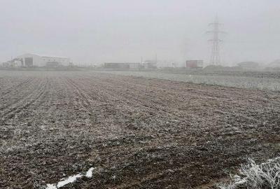 Teren de 6500 mp, în Tărtășești - 8