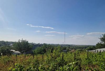 Teren de 1100 mp, în Nufăru - 4