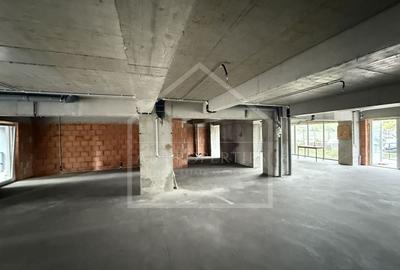 Spatiu Comecial 155 MP UTILI - 4