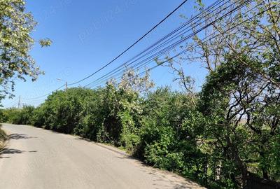 Teren de 1400 mp, în Dezmir - 2
