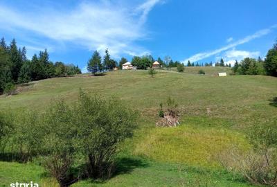 Teren de 56000 mp, în Arieșeni - 18