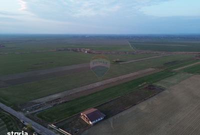 Teren de 12360 mp, în Vulturu - 7