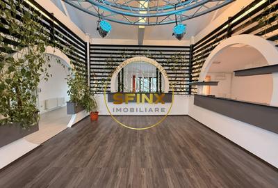 Cladire multifunctionala – sediu business , 1160 mp garaj 11 masini, Cotroceni - 9