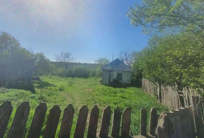 Vand casa cu teren - 3