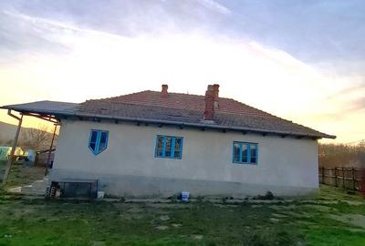 Casă cu 5 camere cu Teren 4443 Mp în Nicolae Bălcescu - 13